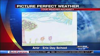 Picture Perfect Weather- Amir