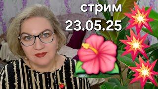 Когда поедем в Таиланд ️