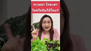 กะเพรา โหระพา โรคไตกินได้ไหม? #โรคไต #ไตเสื่อม #ดูแลผู้ป่วยไต