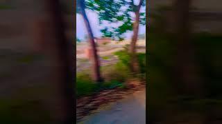 #new #viralshort #priyanshu #bhai #raosahab #song