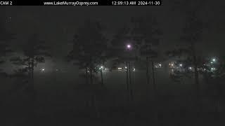 Lake Murray Osprey Live Cam 2- no audio