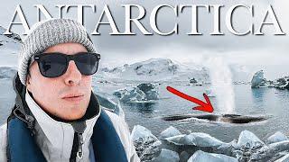 ANTARCTICA  The Pinnacle of my Travels (Surrounded by Whales)