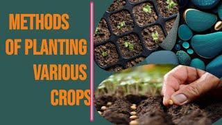 planting methods for various crops for grade 7 agriculture