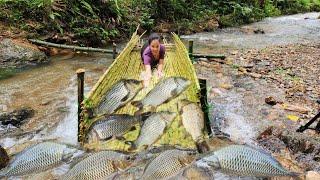 With the ancient way of trapping fish, Ana caught a lot of fish in stream p2.