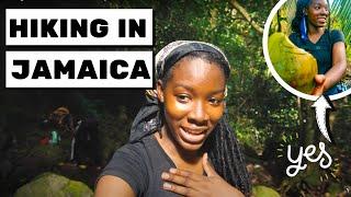 Hiking in the Hills of Jamaica For a Day