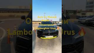 Красавец Lamborghini Urus  #lamborginiurus #jetcar #asmr #экспортавто