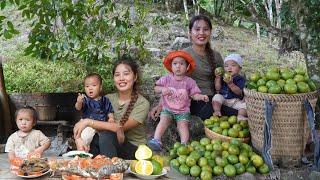 Harvest tangerines to sell at the market - catch fish, cook with your children