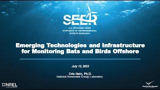 Emerging Technologies and Infrastructure for Monitoring Bats and Birds Offshore