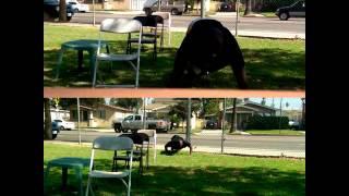 Dynamic plyometric workout |"I" Grind Training