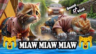Miaw miaw miaw miaw Song sad story of a cat without a home FULL.. #cat #aicat #catlover #cats