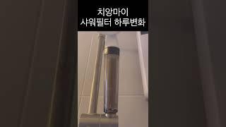 치앙마이 한달살기중 | 하루만에 필터변화#shorts