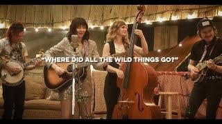 Molly Tuttle - Where Did All the Wild Things Go? (Live)