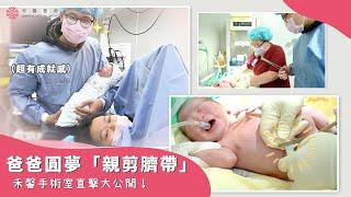 【禾馨手術直擊】爸爸圓夢企劃！剖腹產親剪臍帶過程大公開！｜林思宏醫師｜禾馨醫療