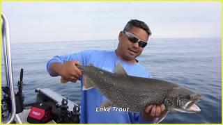 Michigan Summer Fishing with Sport Fish Michigan