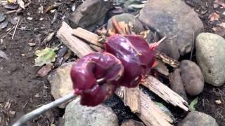 Cooking Wild Game Bird (Survival Food)