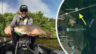 How to Fish the Gandy Bridge & Weedon Island Flats | Tampa Bay Kayak Fishing