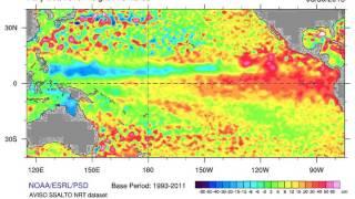 Average Daily Sea Level Height Anomalies During El Niño