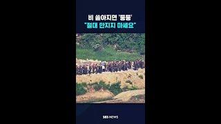 비 쏟아지면 '둥둥'…"절대 만지지 마세요" #shorts