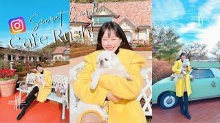 'Cafe Rush' 양평카페 더그림 오픈런 하기, 첫번째 고객으로 관람하면 이런모습! (feat. 탱이)