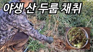드룹 채취하기