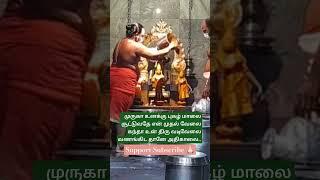 முருகா உனக்கு புகழ் மாலைசூட்டுவதே என் முதல் வேலை.. #tamil #murugan #Om #trending #song #music