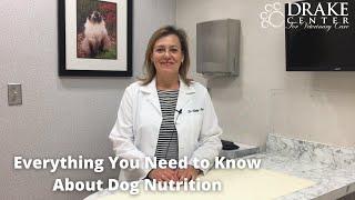 Everything You Need to Know About Dog Nutrition