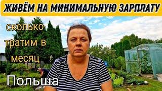 Живём на минимальную зарплату в Польше, сколько тратим в месяц/наша дача.