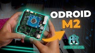 ODroid M2 Review: A Next-Level SBC for Performance Enthusiasts