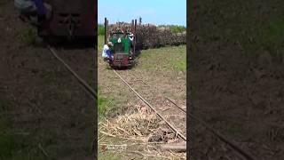 गन्ना ट्रान्सपोर्ट ट्रेन #short #shorts #sugarcane #sugar #taktar #jugad #shortvideo #tren