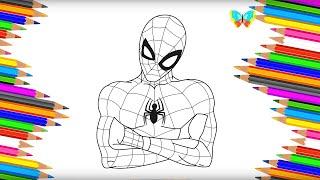 Как нарисовать ЧЕЛОВЕКА ПАУКА из мультика Spider Man | Рисуем и Учим Цвета | Coloring Kids