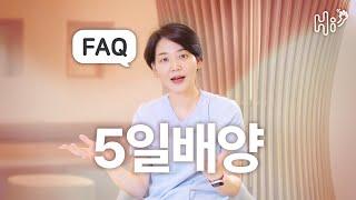 시험관 시술 키워드 FAQ - 5일배양