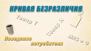 Кривая безразличия | Поведение потребителя