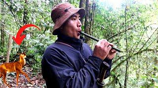 Dampey: An ancient village style deer calling technique || Sadam Dumpey || Arunachal Pradesh.