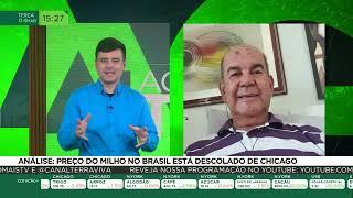 Análise: Preço do milho no Brasil está descolado de Chicago