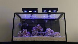 A closer look at the LPS reef tank..