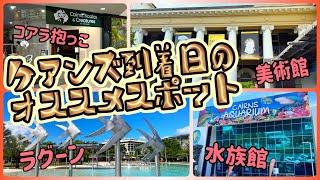 【ケアンズ基本情報】到着日にオススメなケアンズ市内のスポットをご紹介！　「CAIRNS ART GALLERY」　第475ページ　AUSTRALIA CAIRNS CHANNEL