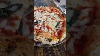 neapolitan pizza wood oven best pizza