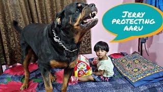 Dog protecting baby | Rottweiler dog puppy | funny dog videos |