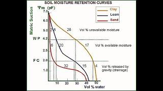 Soil Moisture Curve Explanation