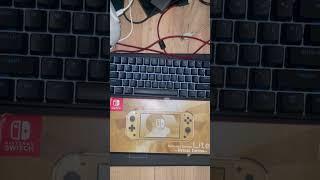 Такая ли редкая Nintendo Switch Lite Hyrule Edition