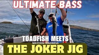 ULTIMATE BASS ACTION UK BOAT FISHING TOADFISH MEETS THE JOKER LURES  WORMS HEAD GOWER PENINSULA.