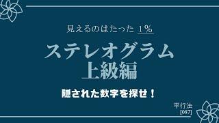 上級編 ステレオグラム stereogram 平行法 立体視 parallel view 視力回復系エンタメ[087]