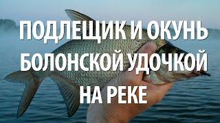 ПОДЛЕЩИК и ОКУНЬ БОЛОНСКОЙ УДОЧКОЙ на РЫБАЛКЕ с НОРМУНДОМ ГРАБОВСКИСОМ