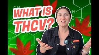 What is THCV?