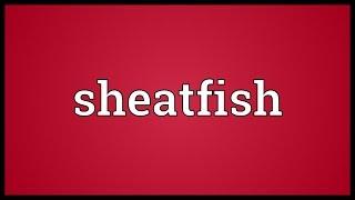 Sheatfish Meaning