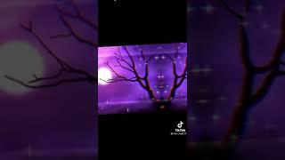 حالات واتس صور بنفسجيه رووعة على موسيقى هادئة