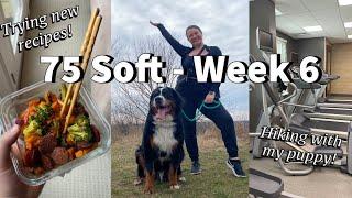 Creating Sustainable Habits for Continued Weight Loss | 75 Soft - Week 6 (My Journey)