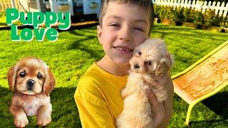 Oliver and Lucas Pet the Cutest Animals in the World  Cute Puppies   Educational Videos for Kids