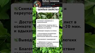 #здоровье #полезныесоветы #духовность #смыслжизни #мудрость