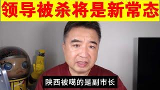 翟山鹰：中国今后领导被杀将是新常态丨陕西副市长被噶